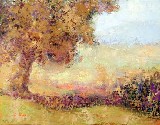 In the Meadow