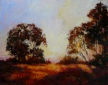 Fields Above the Sea
