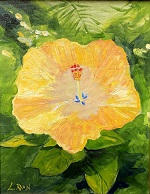 Golden Hibiscus
