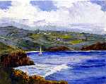 Honolua Bay