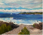 Honolua Bay Vista