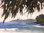 Ironwood Tree Fringe at Fleming