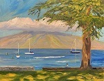 Library Lawn Lahaina