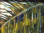 Palm Frond Maui