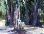 Shadowy Grove
