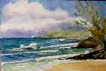 Fleming